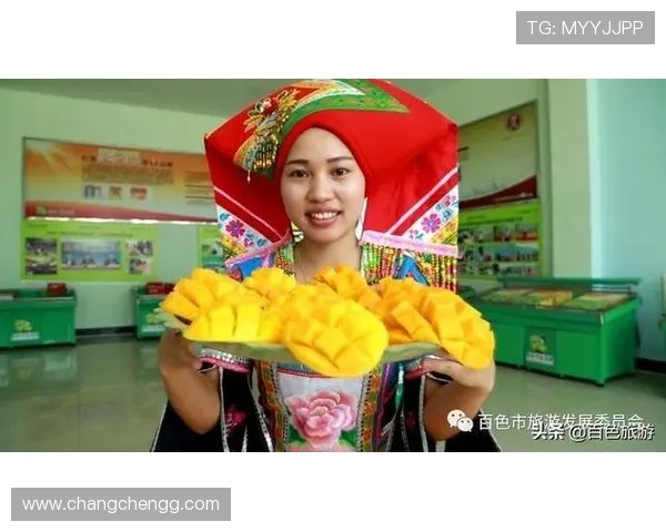 百色公共频道高清直播在线观看